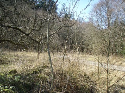 Foto 38